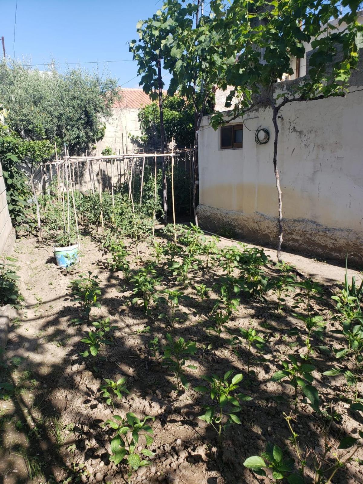 Private Room On A Shared Apartament Near Durres Beach Luaran gambar